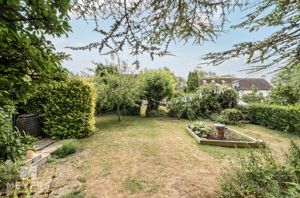 Photo 12- click for photo gallery